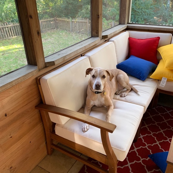 Meet the Posher, Carolyn! - Picture 11 of 11